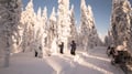 Snowmobile tour: 1 hour Easy Snowmobile Safari in Levi