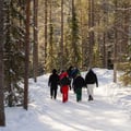 Insider Korouoma Frozen Waterfalls