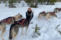 5KM HUSKY SLEIGH RIDE not self driven