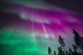 Rovaniemi: Aurora Activity Guarantee - 97% Success Rate Tour