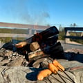 Traditional Rowboat Fishing & Reindeer Experience