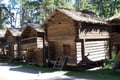 The Island Escape: Helsinki City & Seurasaari Open-Air Museum****