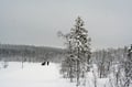 Private Kätkä Fell Snowmobile Safari