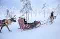 Rovaniemi: Reindeer Safari & Sled Ride with Sámi Family Heritage - Small Group