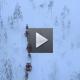Rovaniemi: Reindeer Safari & Sled Ride with Sámi Family Heritage - Small Group