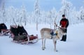 Rovaniemi: Reindeer Safari & Sled Ride with Sámi Family Heritage - Small Group