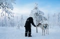 Rovaniemi: Reindeer Safari & Sled Ride with Sámi Family Heritage - Small Group