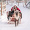 Rovaniemi: Reindeer Safari & Sled Ride with Sámi Family Heritage - Small Group