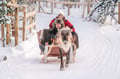Rovaniemi: Reindeer Safari & Sled Ride with Sámi Family Heritage - Small Group