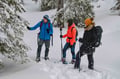 Full Arctic Adventure (Snowshoeing, Ice Fishing, Fire & Survival)