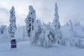 Snowshoeing Adventure to the Amethyst Mine