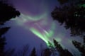 Private: Aurora Evening at Riverside Lodge