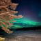 Private: Aurora Evening at Riverside Lodge
