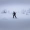 SNOWSHOEING The white walk