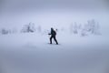 SNOWSHOEING The white walk