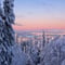 Levi Scenic Tour Reindeer Encounter and Snowshoe Adventure