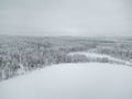 Private Wilderness Sauna & Ice Swimming in Winter (with Dinner Option)