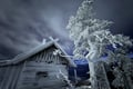 Private: Snowshoeing to Santa's Cabin in Levi