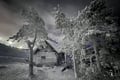 Private: Snowshoeing to Santa's Cabin in Levi
