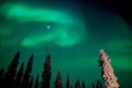 Rovaniemi – Real Northern Lights Hunting Experience (Small Group)