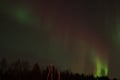 Rovaniemi – Real Northern Lights Hunting Experience (Small Group)