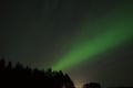 Rovaniemi – Real Northern Lights Hunting Experience (Small Group)