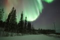 Rovaniemi – Real Northern Lights Hunting Experience (Small Group)