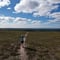 On reindeer trails - guided hike to Urho Kekkonen national park