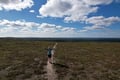On reindeer trails - guided hike to Urho Kekkonen national park