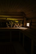 Arctic Private Sauna Experience