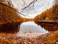 Nuuksio Forest, Castle & Fiskars Village Day Trip from Helsinki