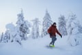 Snowshoeing in the Frozen Forest