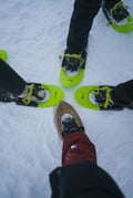 Snowshoeing in the Frozen Forest