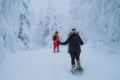 Snowshoeing in the Frozen Forest