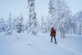 Snowshoeing in the Frozen Forest