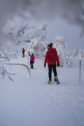Snowshoeing in the Frozen Forest