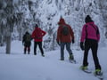Snowshoeing in the Frozen Forest