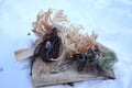 Arctic Bushcraft Skills at Pyhä
