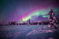 Northern Lights in Rovaniemi