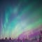 Northern Lights Family-Friendly Snowmobile Safari