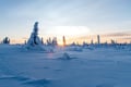 5KM HIKE IN RIISITUNTURI NATIONAL PARK THROUGH STUNNING ARCTIC LANDSCAPES (Optional: Snowshoes)