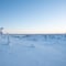 5KM HIKE IN RIISITUNTURI NATIONAL PARK THROUGH STUNNING ARCTIC LANDSCAPES (Optional: Snowshoes)