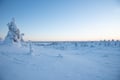 5KM HIKE IN RIISITUNTURI NATIONAL PARK THROUGH STUNNING ARCTIC LANDSCAPES (Optional: Snowshoes)