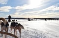COMBINED SNOWMOBILE AND HUSKY SAFARI 6 KM
