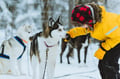 COMBINED SNOWMOBILE AND HUSKY SAFARI 6 KM