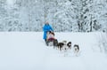 COMBINED SNOWMOBILE AND HUSKY SAFARI 6 KM