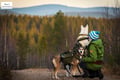 VISIT A HUSKY FARM IN AUTUMN + HIKING WITH THE DOGS (2Km)