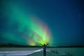 From Rovaniemi:Aurora Dreamscape Tour in Lapland