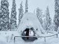Rovaniemi: Riisitunturi National Park Tour & BBQ - Small Group