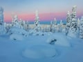 Rovaniemi: Riisitunturi National Park Tour & BBQ - Small Group